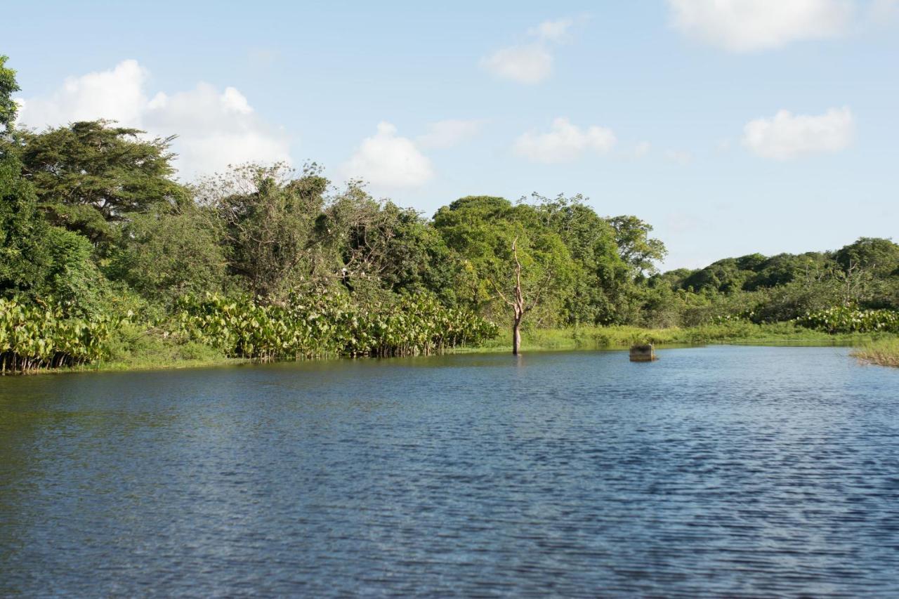 Rio Das Garcas Eco Resort São José de Mipibu 외부 사진